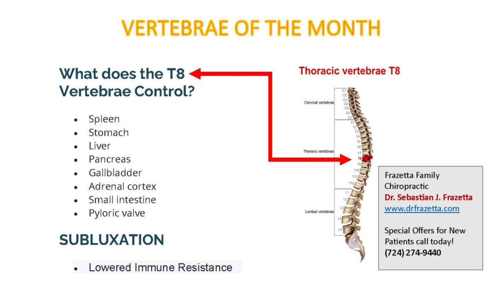 Vertabrae of the Month November 2024