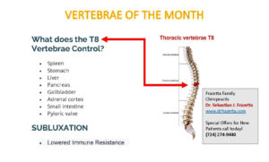 Vertabrae of the Month November 2024